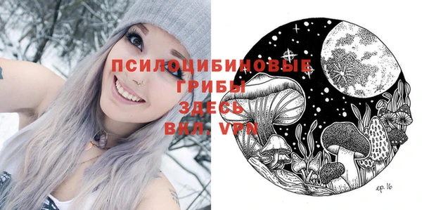 ешки Сафоново