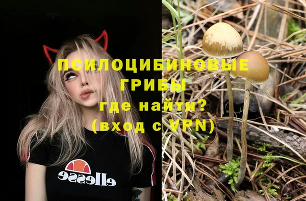 Альфа ПВП Абаза
