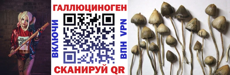 МЕГА зеркало  Белый  Галлюциногенные грибы Cubensis 
